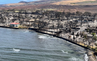 Make a Difference: Supporting Maui’s Fire-Affected Community