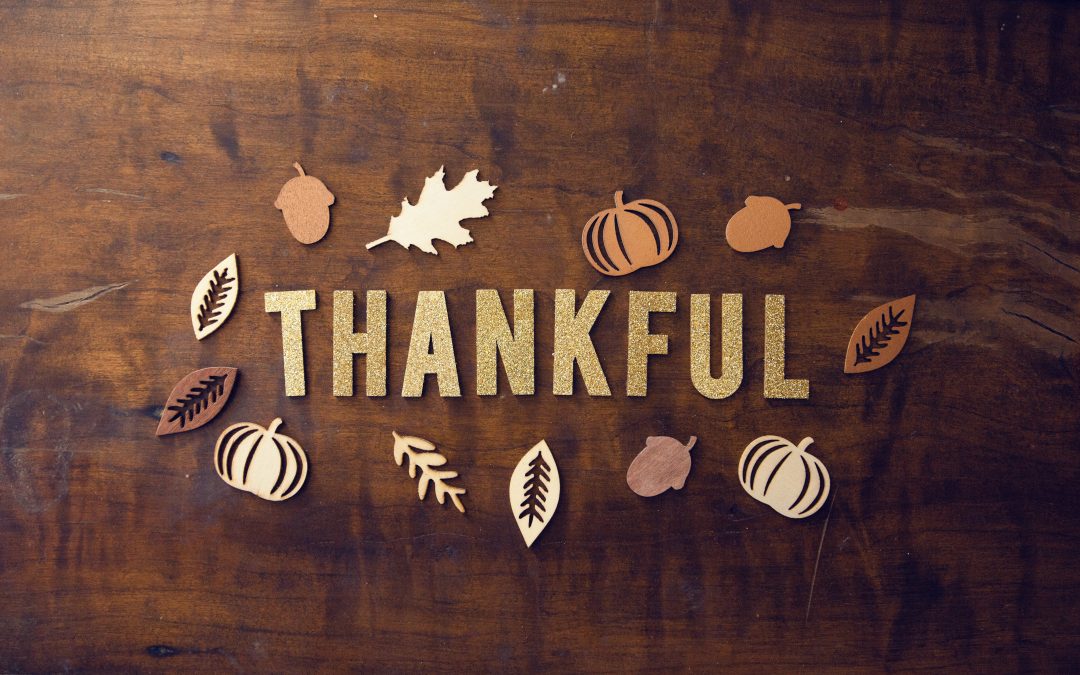 Thanksgiving: A Time for Giving Back and Gratitude